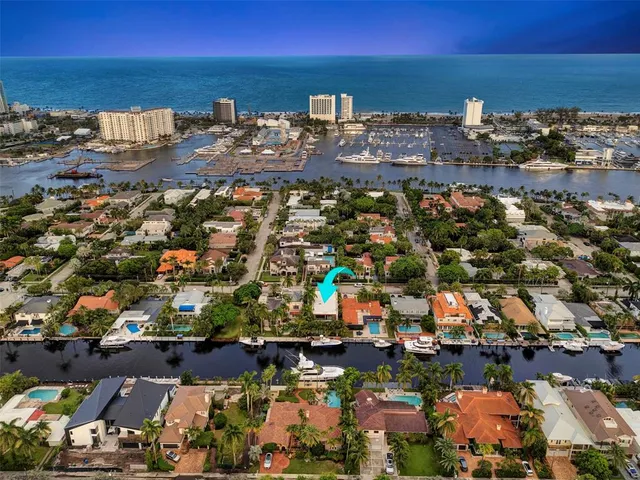 a view of a garden with plants