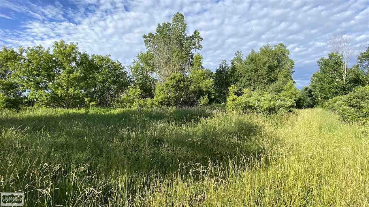 0 Cornwell Road Memphis, MI 48041 - Photo 3 of 7