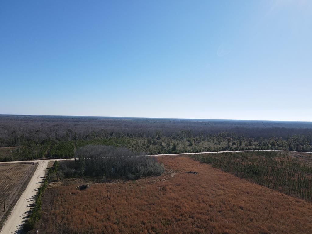 40 Davis Peacock Road Wewahitchka, FL 32449 - Photo 12 of 22