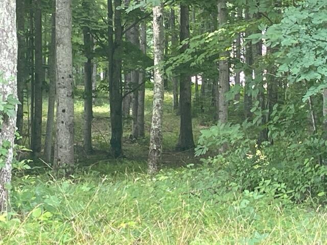 0 Turkey Trl Trail Dunlap, TN 37327 - Photo 15 of 47 IMG_6011