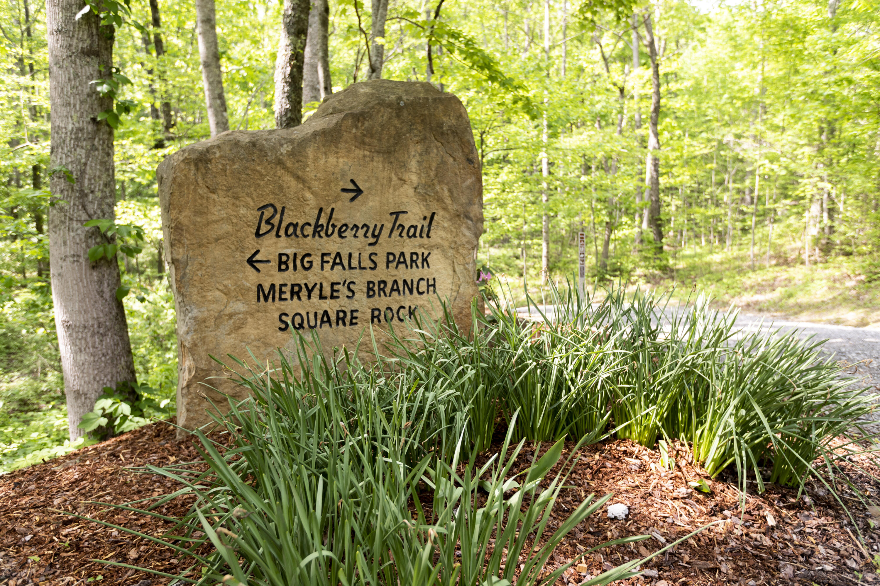 0 Turkey Trl Trail Dunlap, TN 37327 - Photo 17 of 47 Property_IMG_9227