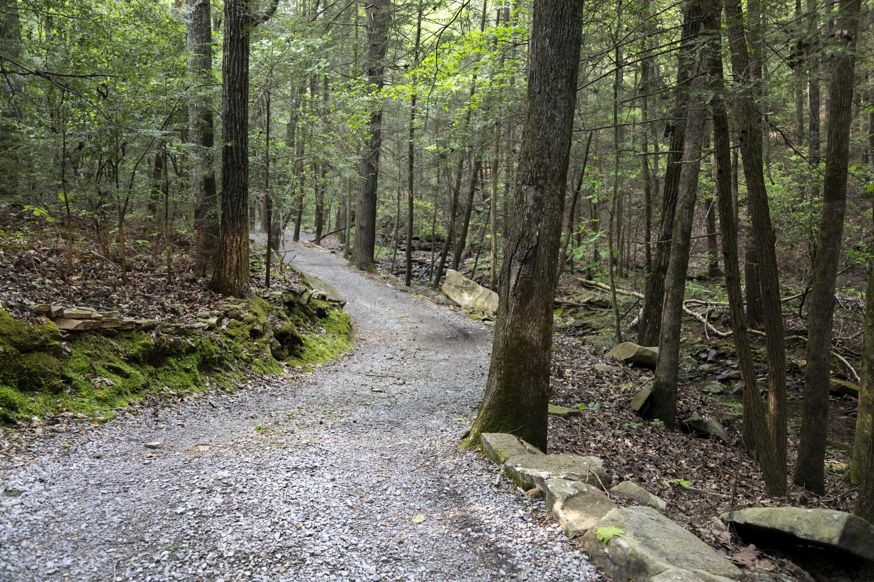 0 Turkey Trl Trail Dunlap, TN 37327 - Photo 20 of 47 Property_1H9A9064