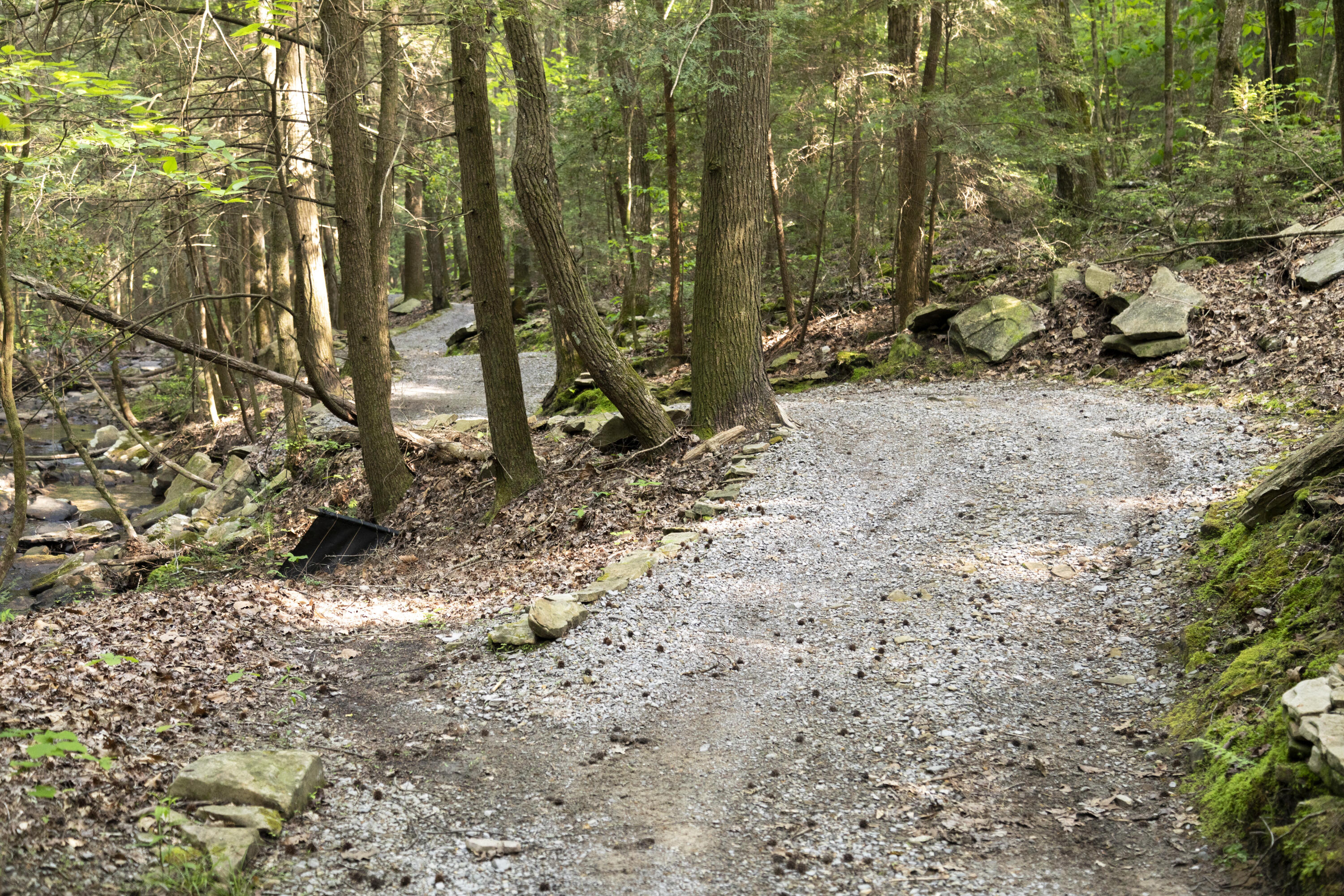 0 Turkey Trl Trail Dunlap, TN 37327 - Photo 22 of 47 Property_1H9A9067