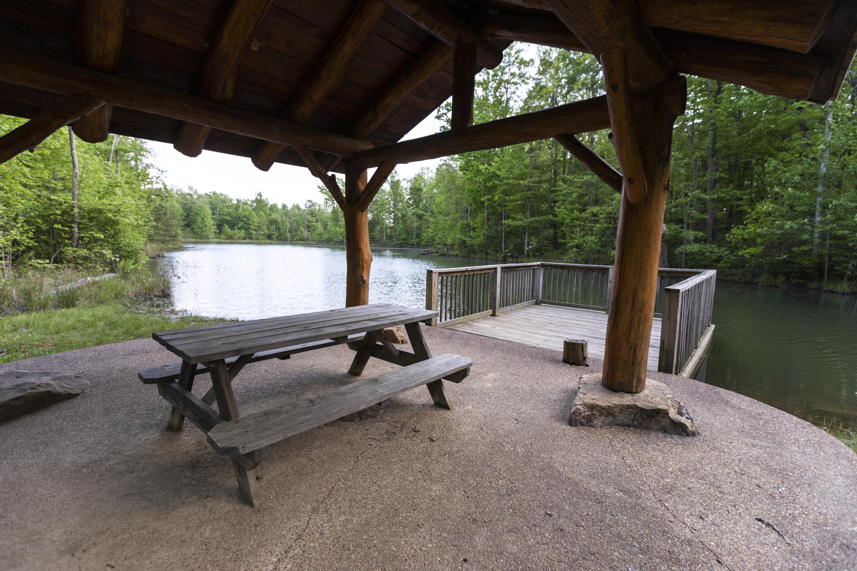 0 Turkey Trl Trail Dunlap, TN 37327 - Photo 31 of 47 Property_IMG_9261