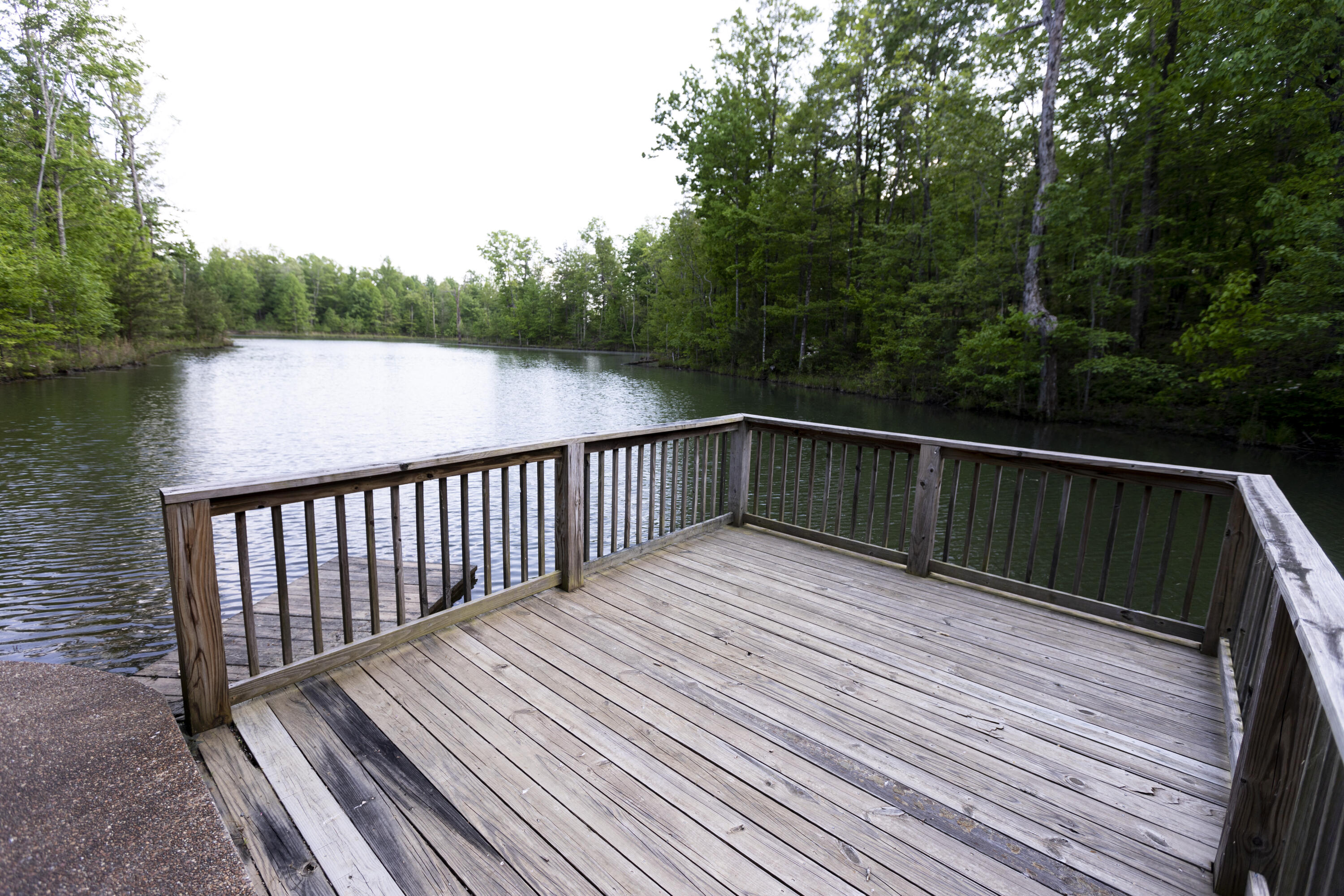 0 Turkey Trl Trail Dunlap, TN 37327 - Photo 32 of 47 Property_IMG_9259