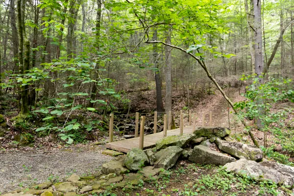 $115,000 | 0 Turkey Trl Trail, Dunlap, TN 37327
