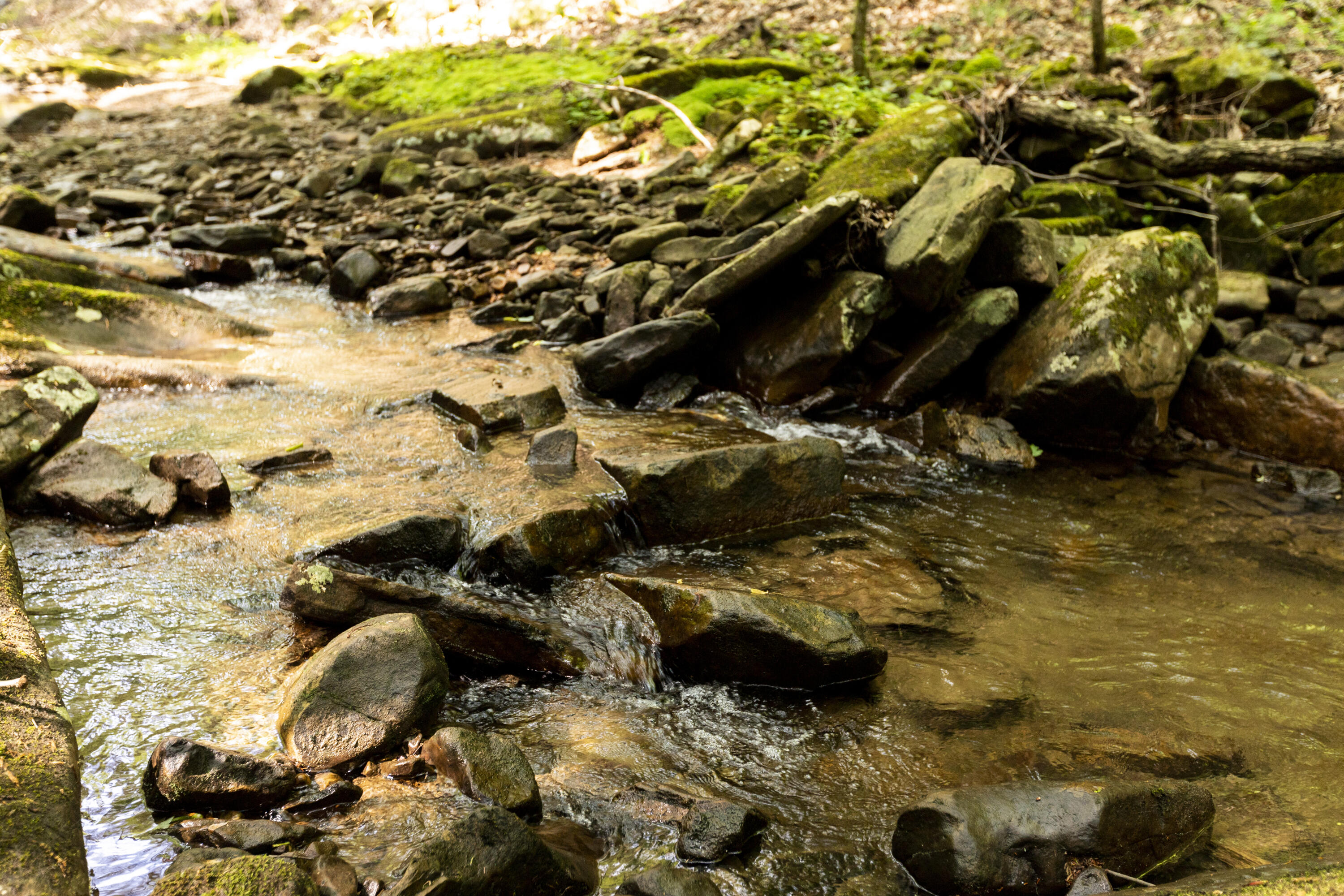 0 Turkey Trl Trail Dunlap, TN 37327 - Photo 38 of 47 Property_IMG_9244