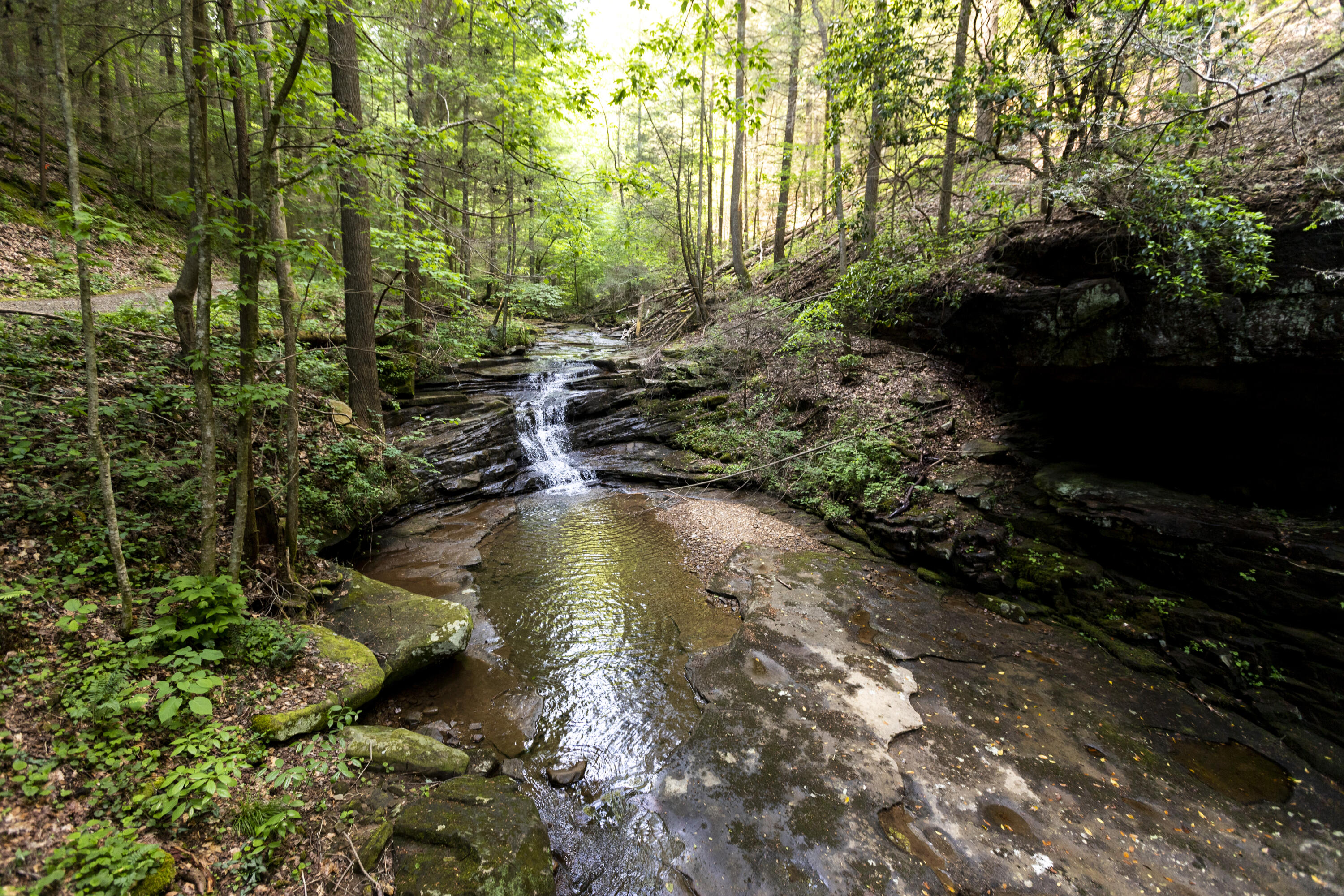 0 Turkey Trl Trail Dunlap, TN 37327 - Photo 40 of 47 Property_IMG_9249
