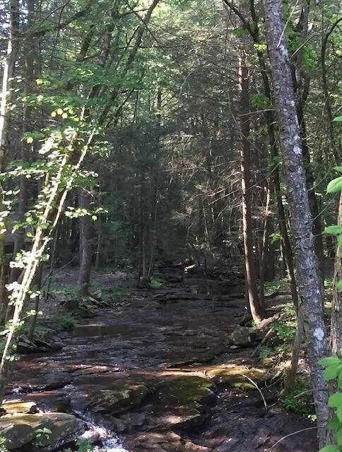 0 Turkey Trl Trail Dunlap, TN 37327 - Photo 44 of 47 IMG_8150