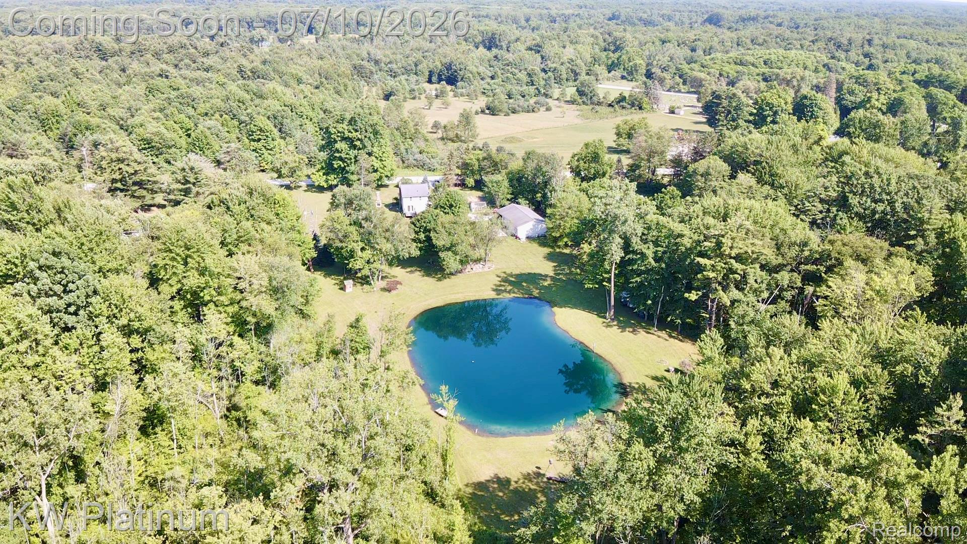1581 Emerson Road Goodells, MI 48027 - Photo 41 of 45 Aerial view