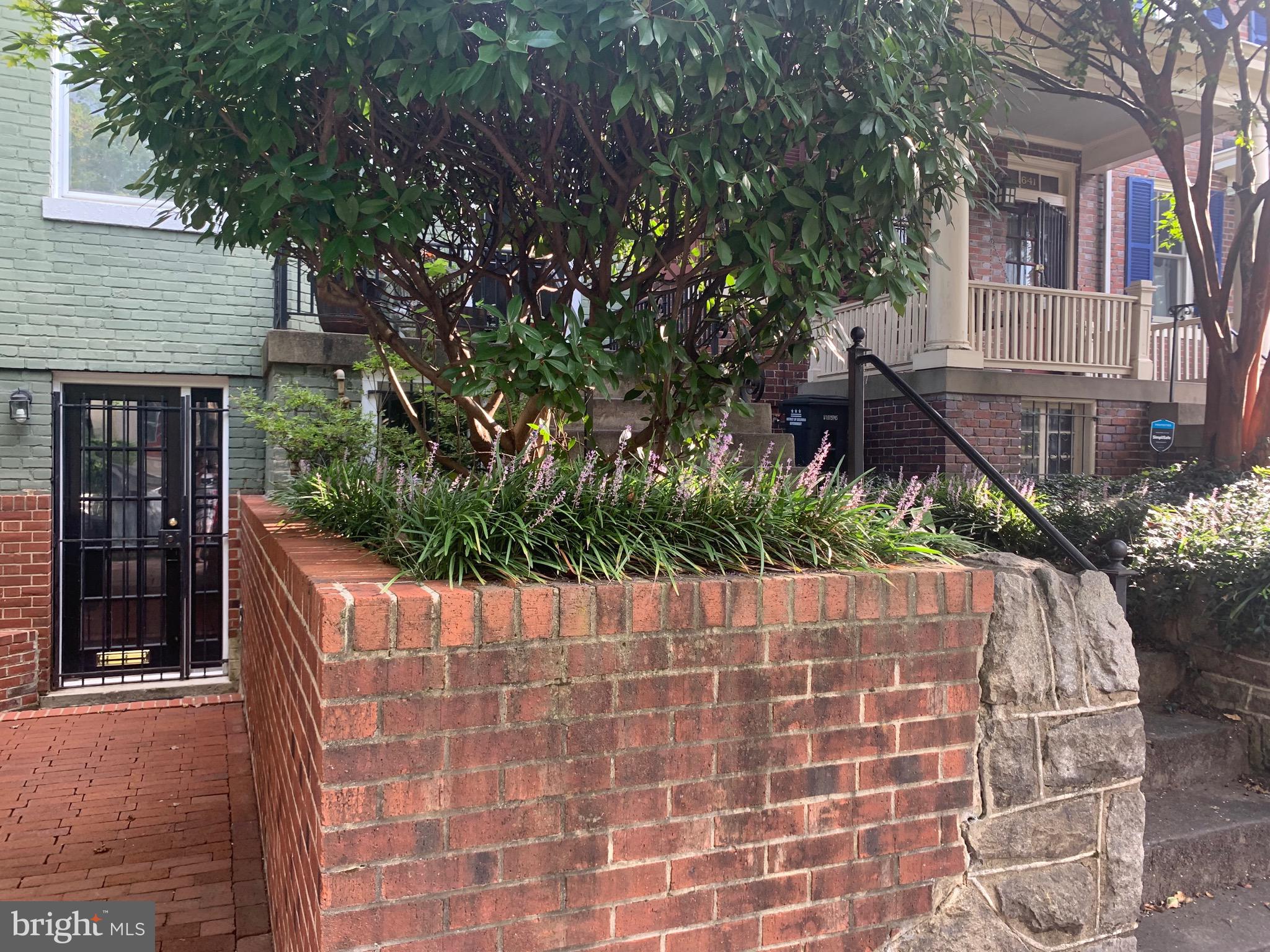643 E Street Northeast Washington, DC 20002 - Photo 15 of 59 a house with a tree in front of it