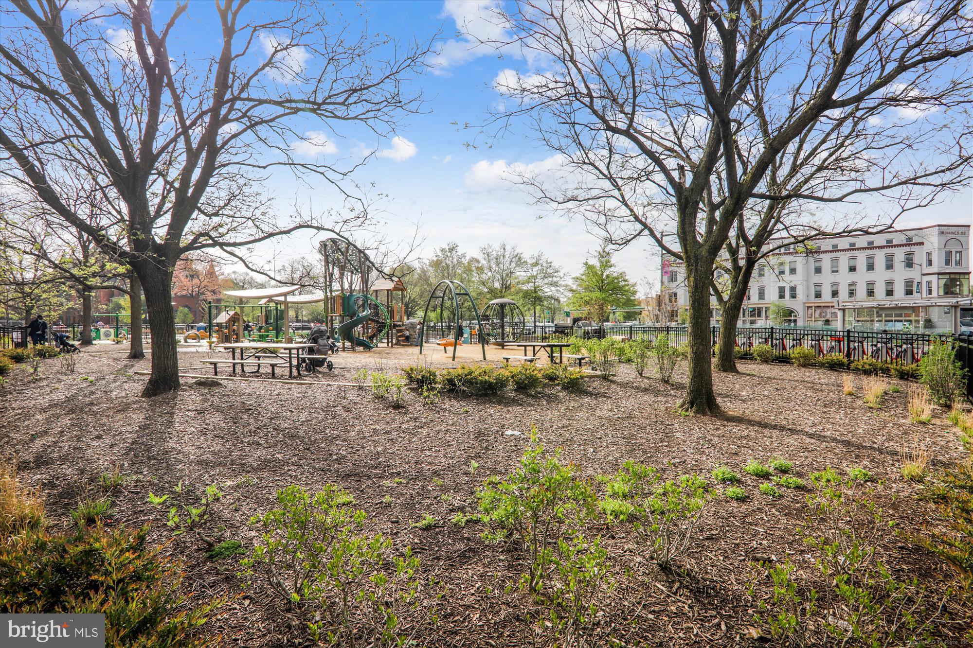 643 E Street Northeast Washington, DC 20002 - Photo 22 of 59 a view of a yard with a tree