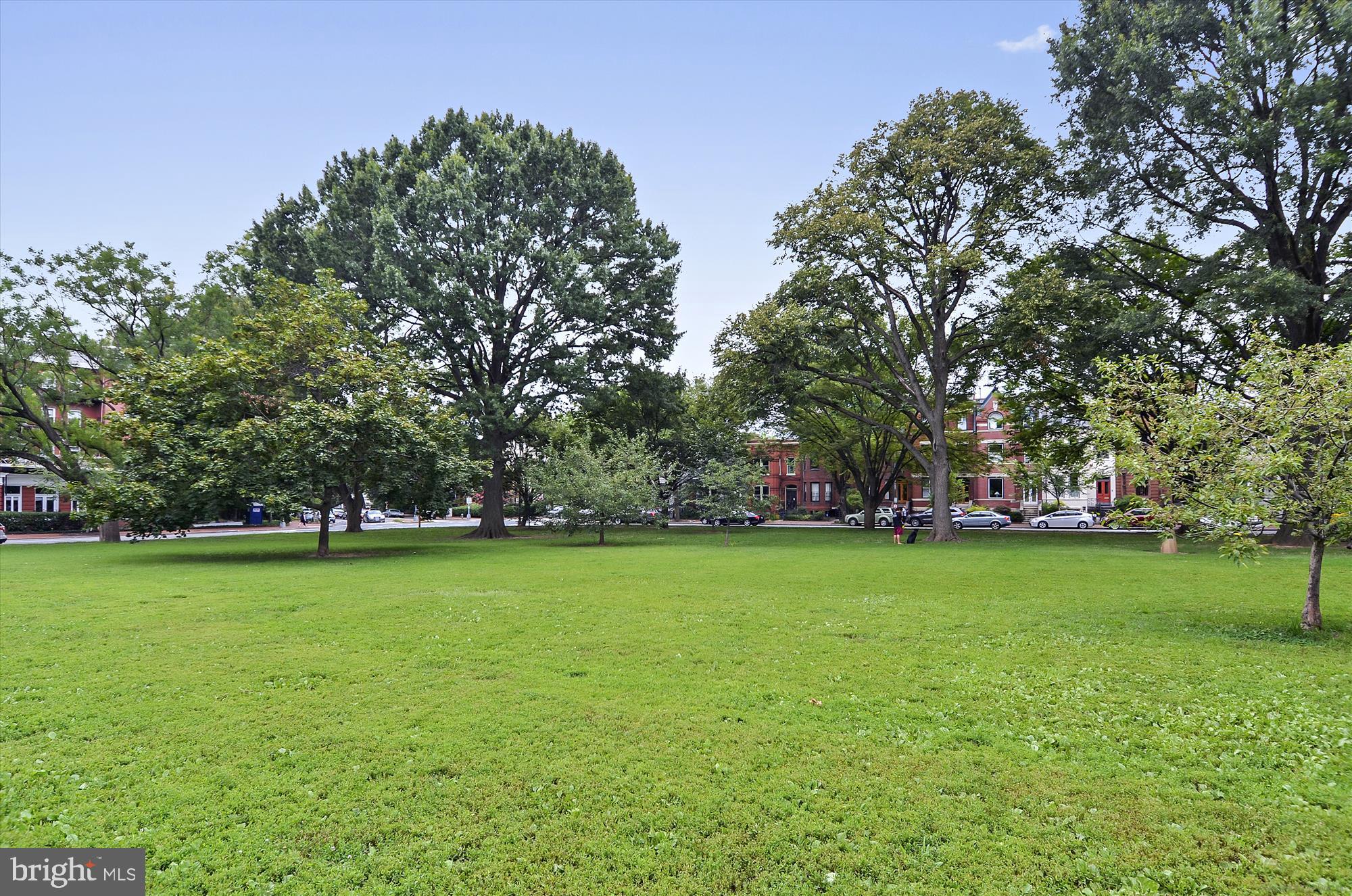 643 E Street Northeast Washington, DC 20002 - Photo 34 of 59 a ground with lots of trees