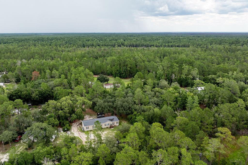 24821 Old Deer Road Paisley, FL 32767 - Photo 42 of 43