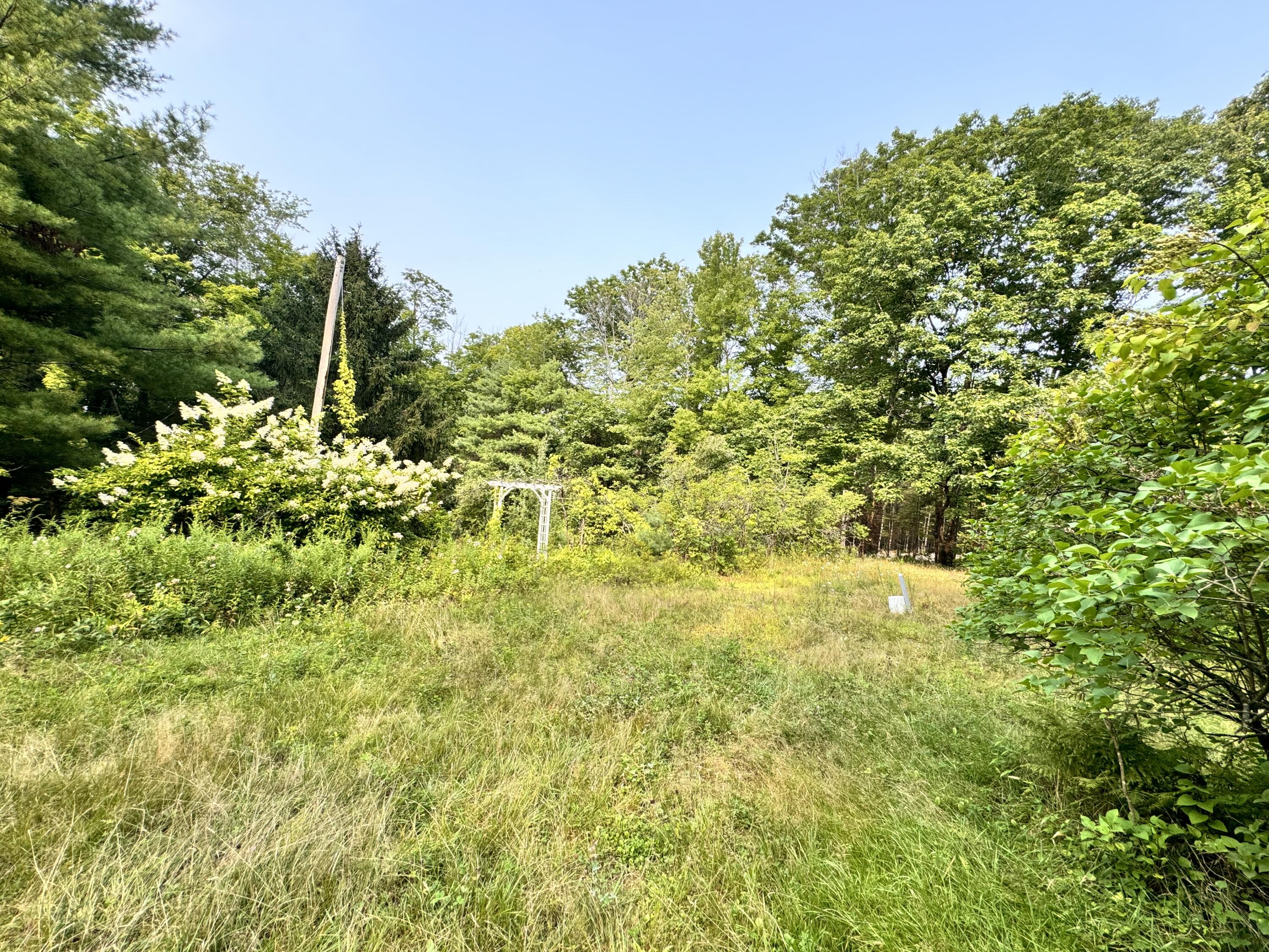 94 Farnsworth Road Brownfield, ME 04010 - Photo 2 of 32 established shrubs