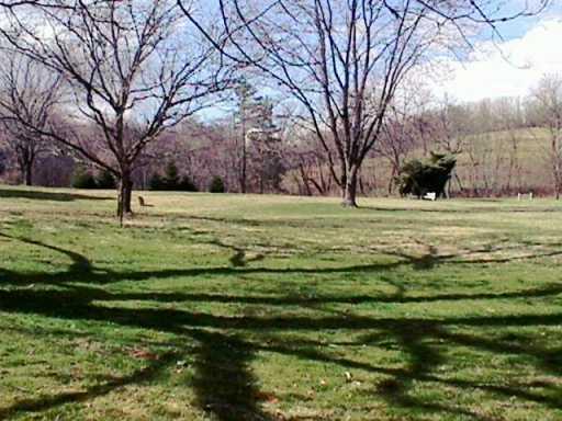 378 Justabout Road Venetia, PA 15367 - Photo 7 of 8