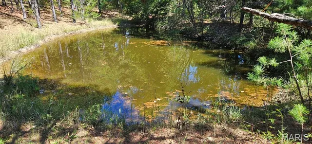 $119,900 | 0 County Road 924, Bunker, MO 63629