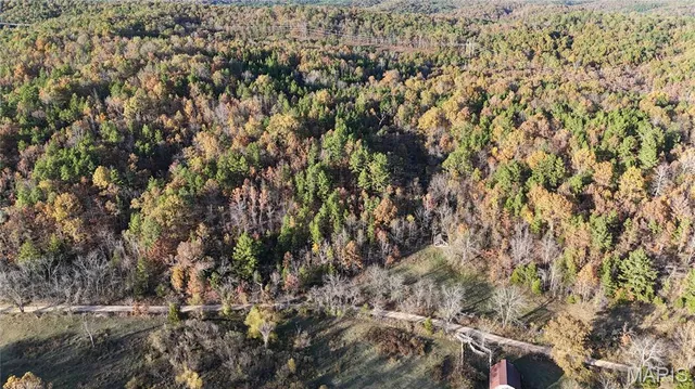 $119,900 | 0 County Road 924, Bunker, MO 63629