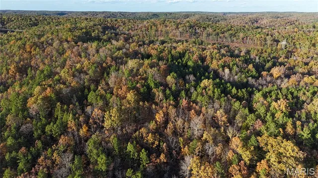 $119,900 | 0 County Road 924, Bunker, MO 63629