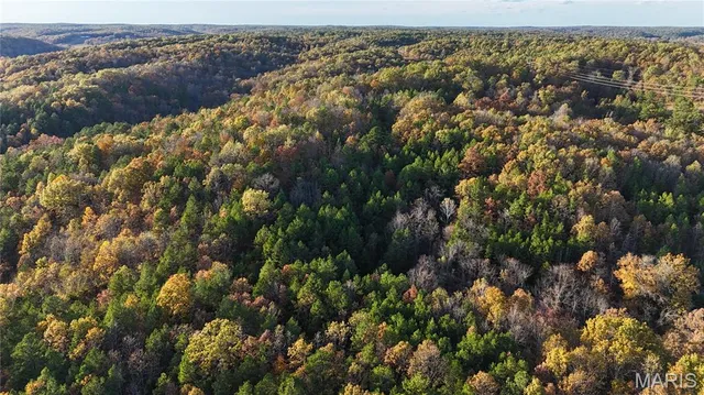 $119,900 | 0 County Road 924, Bunker, MO 63629