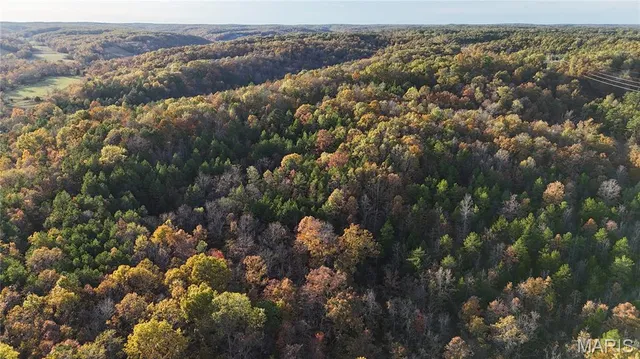 $119,900 | 0 County Road 924, Bunker, MO 63629