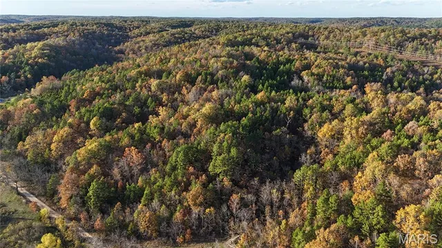 $119,900 | 0 County Road 924, Bunker, MO 63629