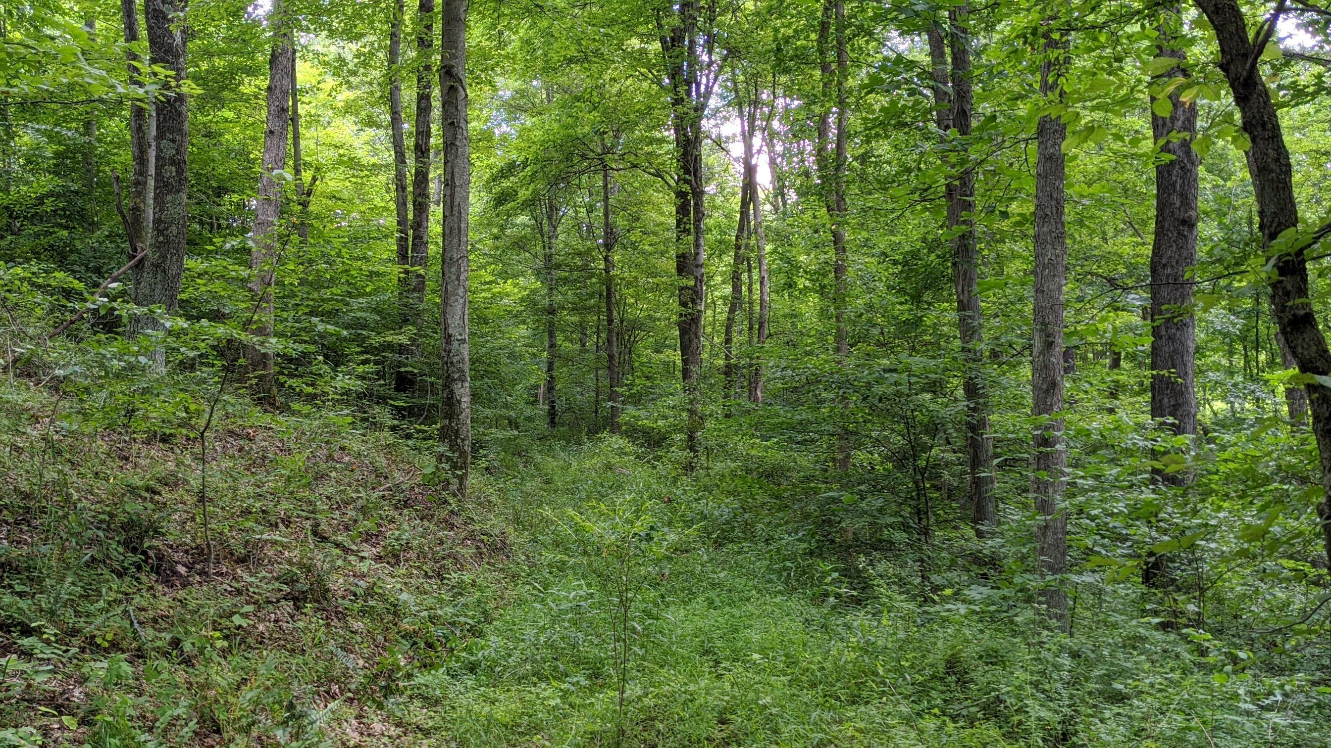 18620 Grossman Road Logan, OH 43138 - Photo 14 of 60 Gallery Image 14