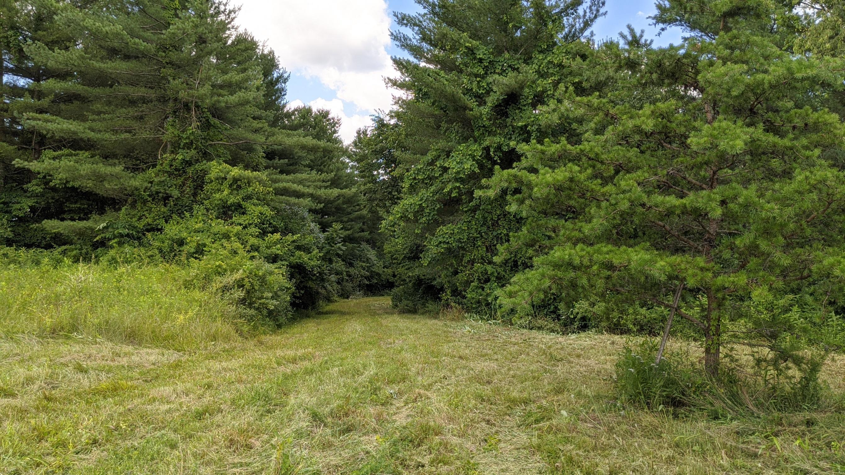 18620 Grossman Road Logan, OH 43138 - Photo 16 of 60 Gallery Image 16