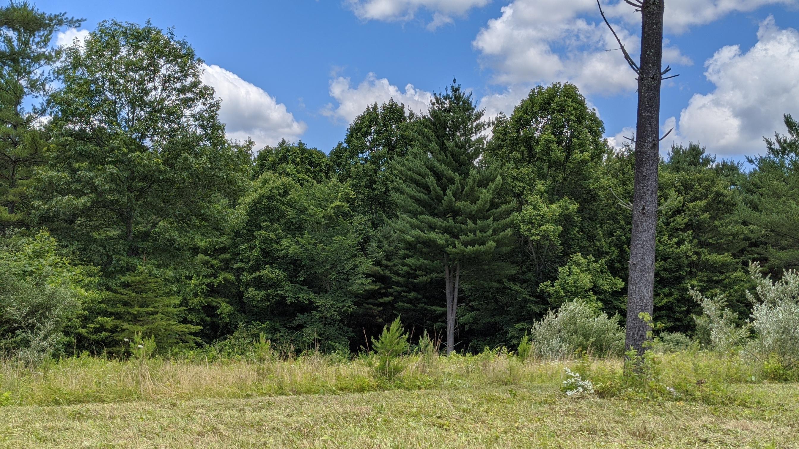 18620 Grossman Road Logan, OH 43138 - Photo 29 of 60 Gallery Image 29