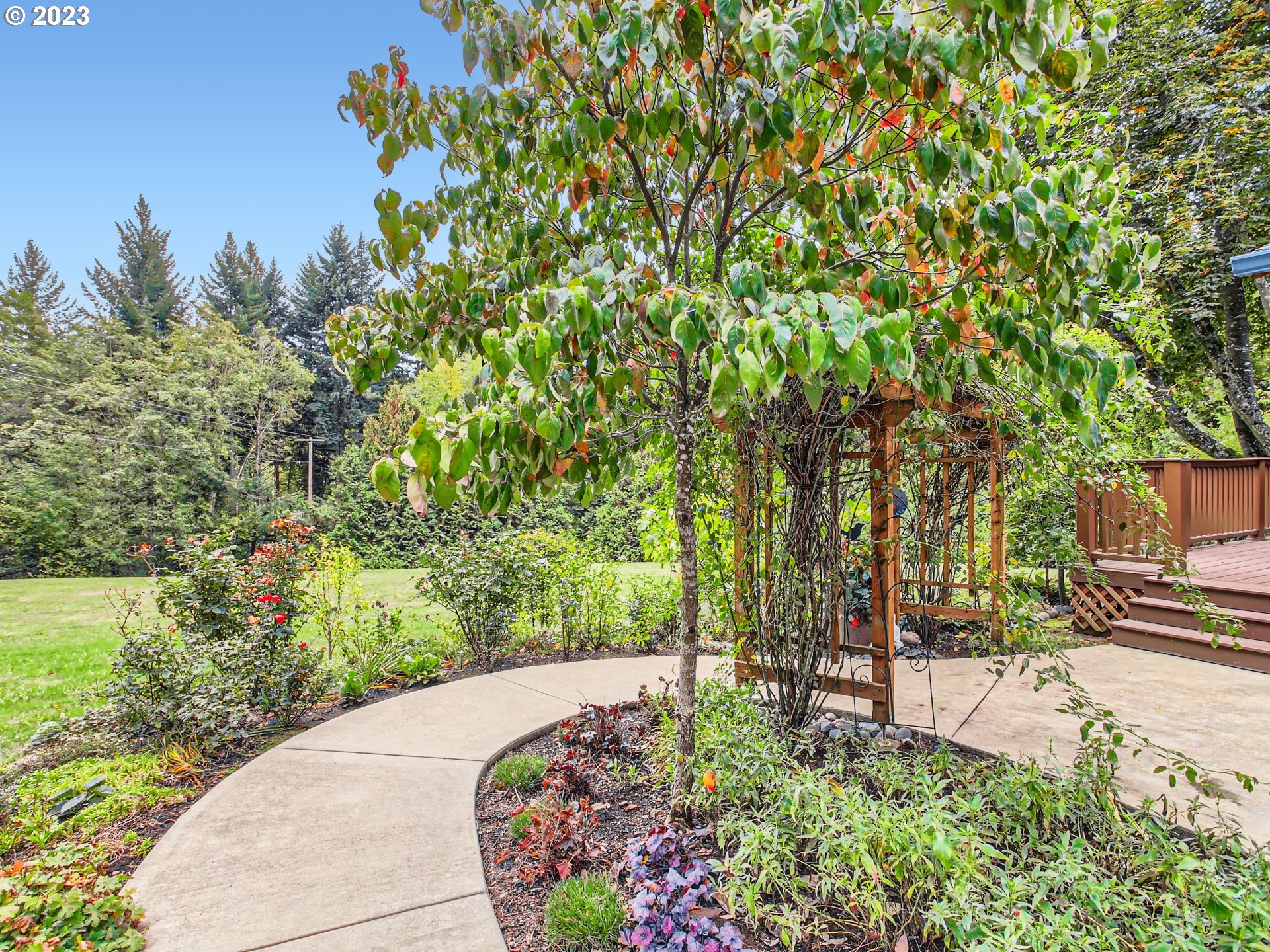 39060 Southeast Bumpy Lane Sandy, OR 97055 - Photo 23 of 29 a view of backyard with green space