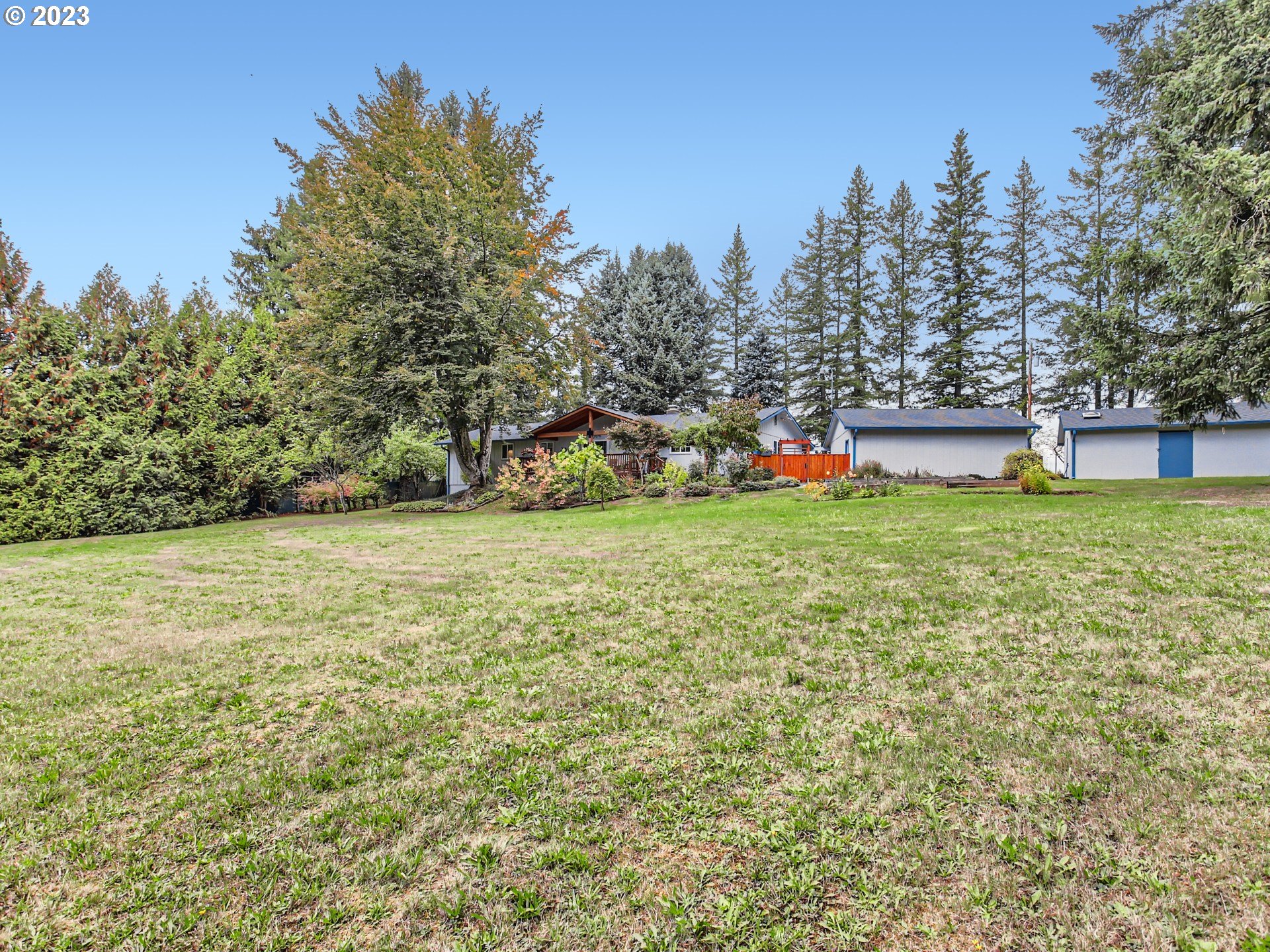 39060 Southeast Bumpy Lane Sandy, OR 97055 - Photo 8 of 29 a view of a field with large trees