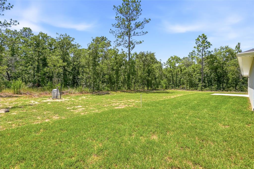 16335 Force Road Weeki Wachee, FL 34614 - Photo 41 of 54