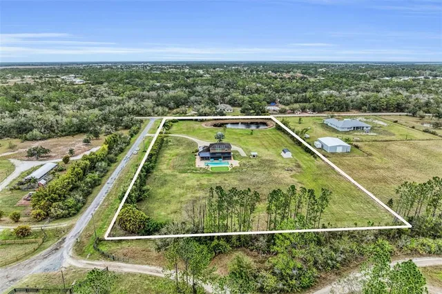 a couple of palm trees sitting in a yard with swimming pool