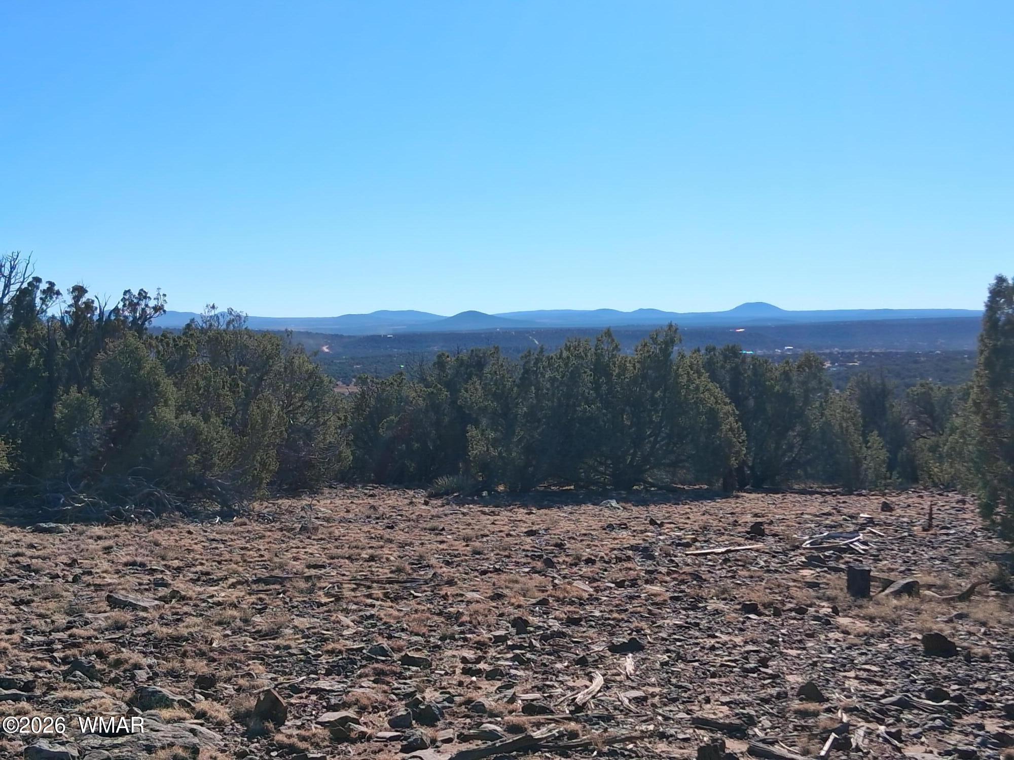 202 County Road Concho, AZ 85924 - Photo 5 of 5