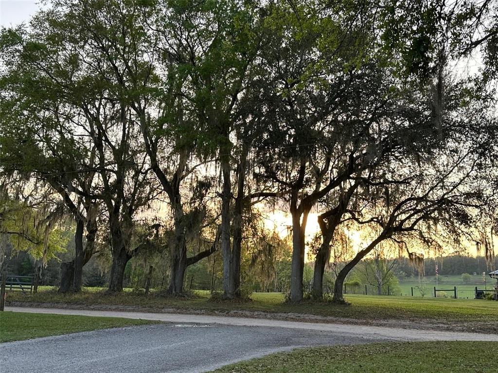 21601 Old Providence Road Alachua, FL 32615 - Photo 45 of 45