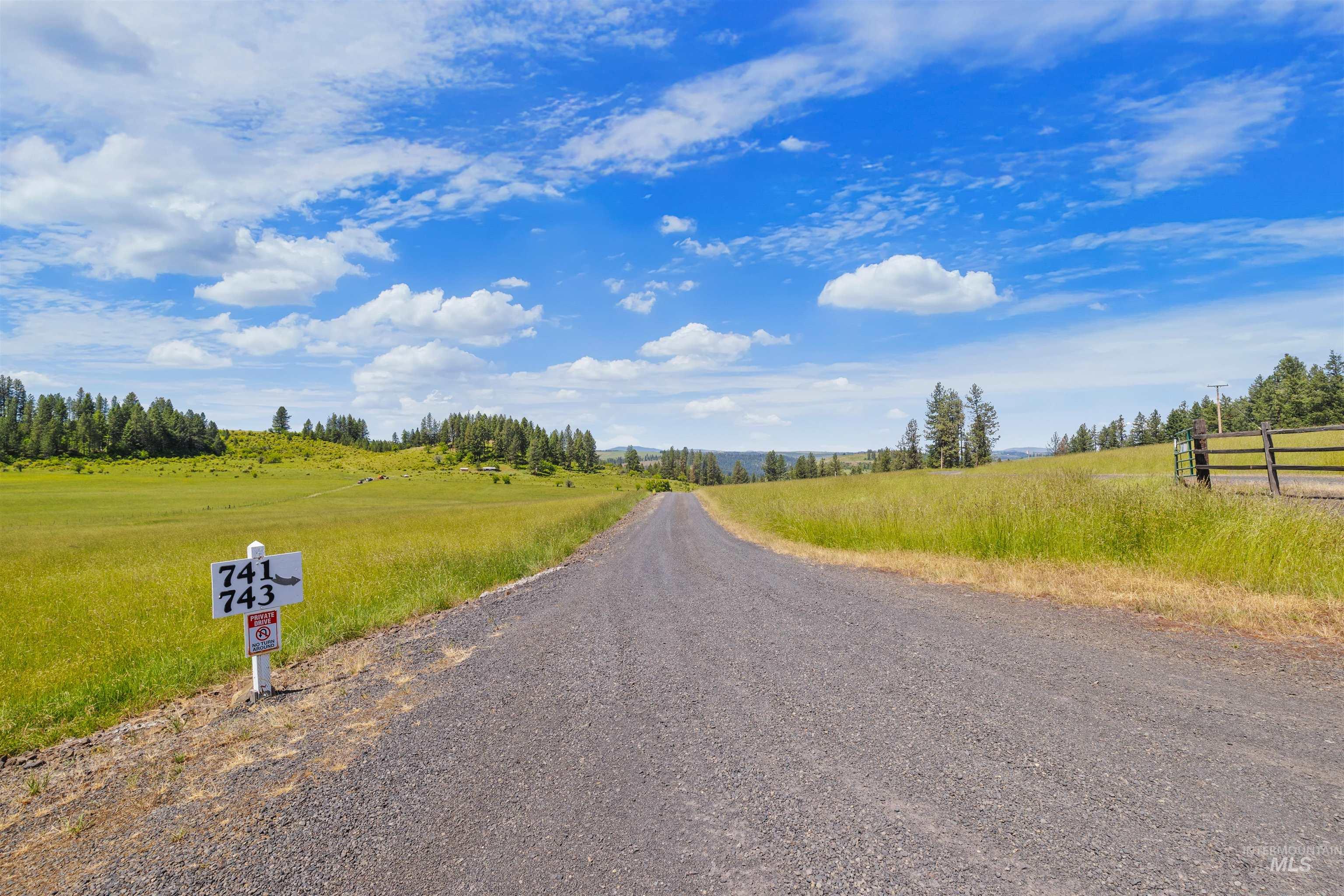 743 Wall Crk Road Stites, ID 83552 - Photo 45 of 48 Gravel private road entry bordered by expansive grassy fields and mature trees