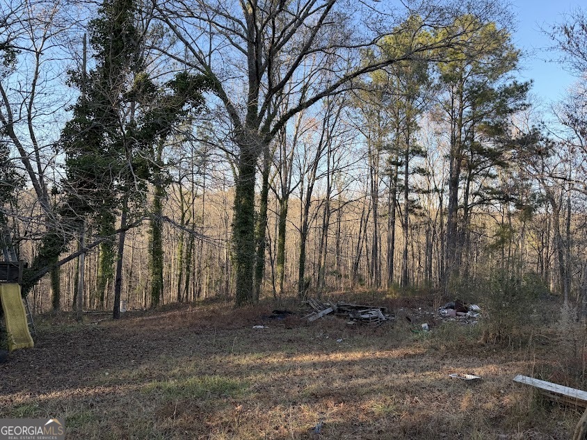 710 Armstrong Mill Road Franklin, GA 30217 - Photo 18 of 19