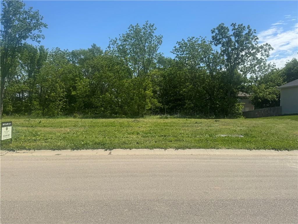 20755 Emerald Street Spring Hill, KS 66083 - Photo 4 of 41