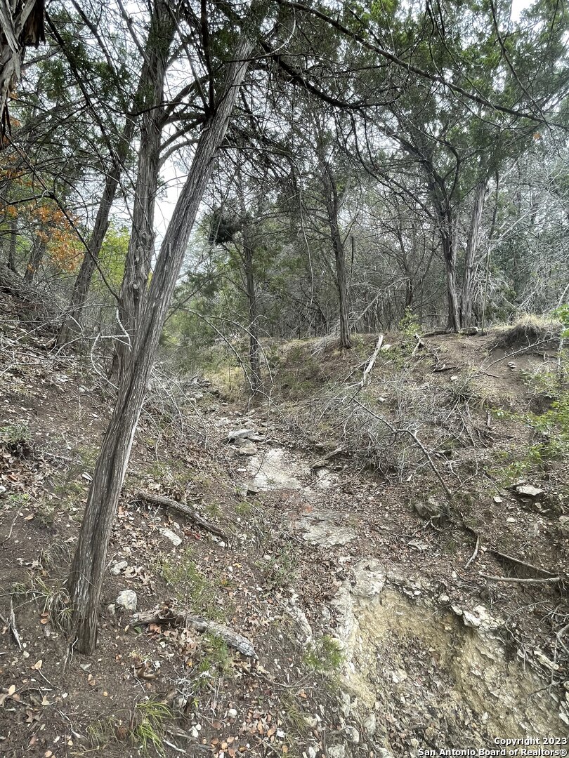 125 Pecan Drive Spring Branch, TX 78070 - Photo 5 of 12 a view of a yard with trees