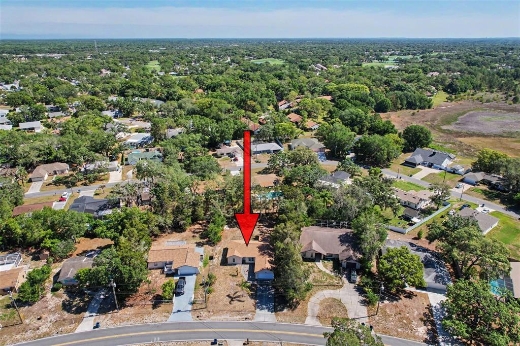 6311 Pinehurst Drive Spring Hill, FL 34606 - Photo 26 of 26