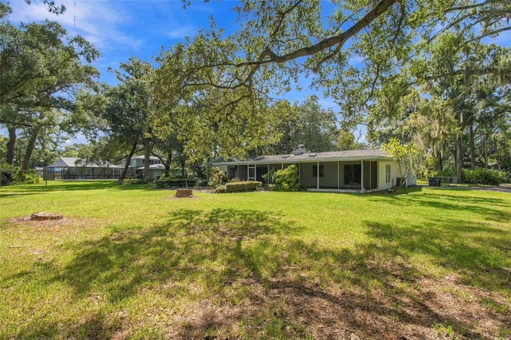 1996 Glenn Road Clearwater, FL 33764 - Photo 10 of 51 Gallery Image 10