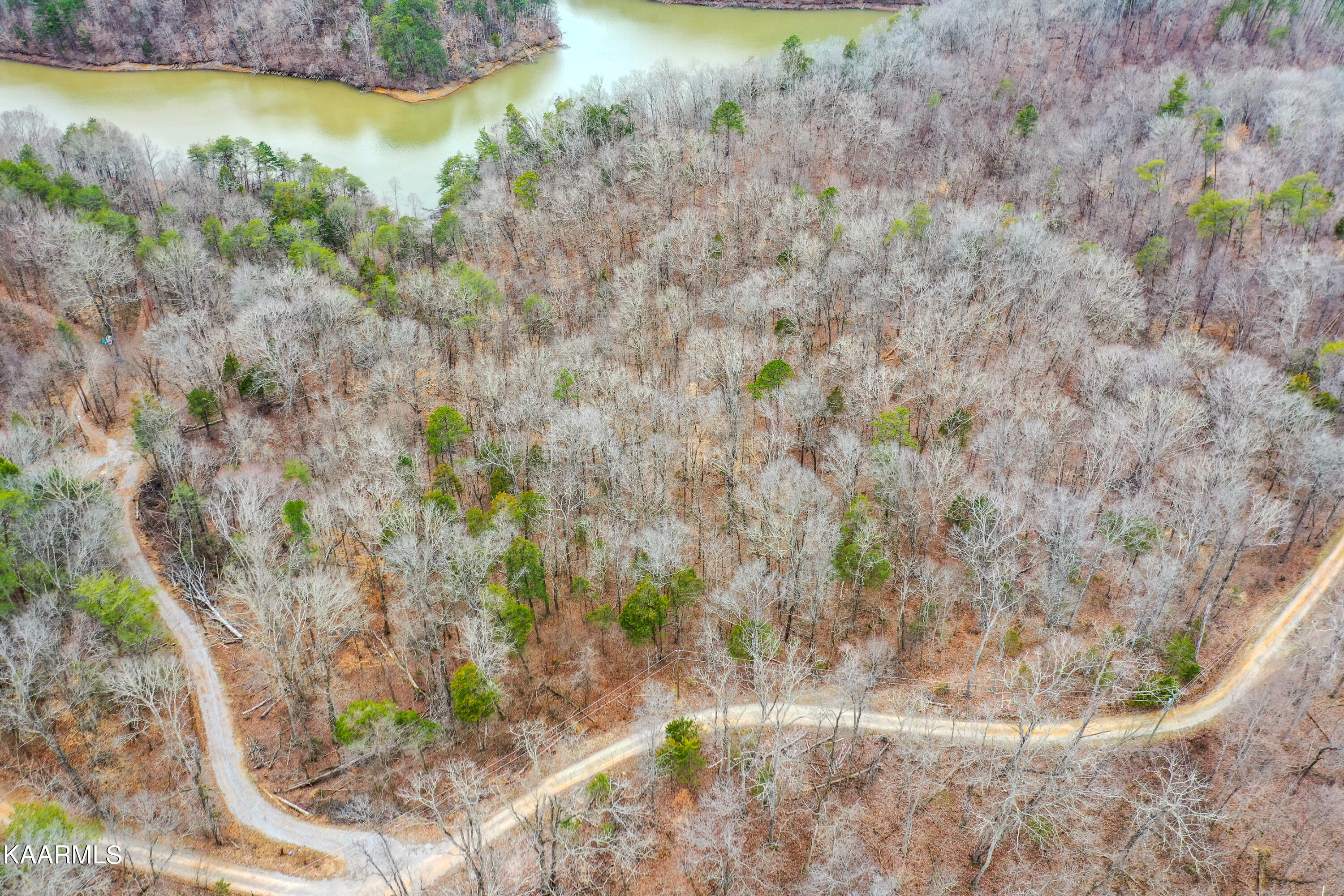 Lot 20 Old Citico Road Vonore, TN 37885 - Photo 3 of 10 DSC_2002-2