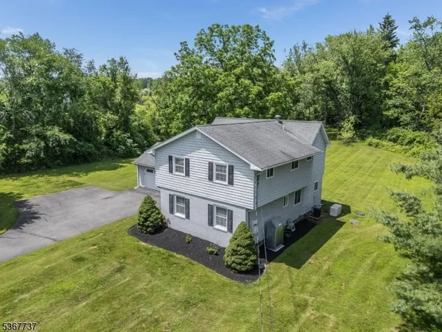 a view of a garden with mountain