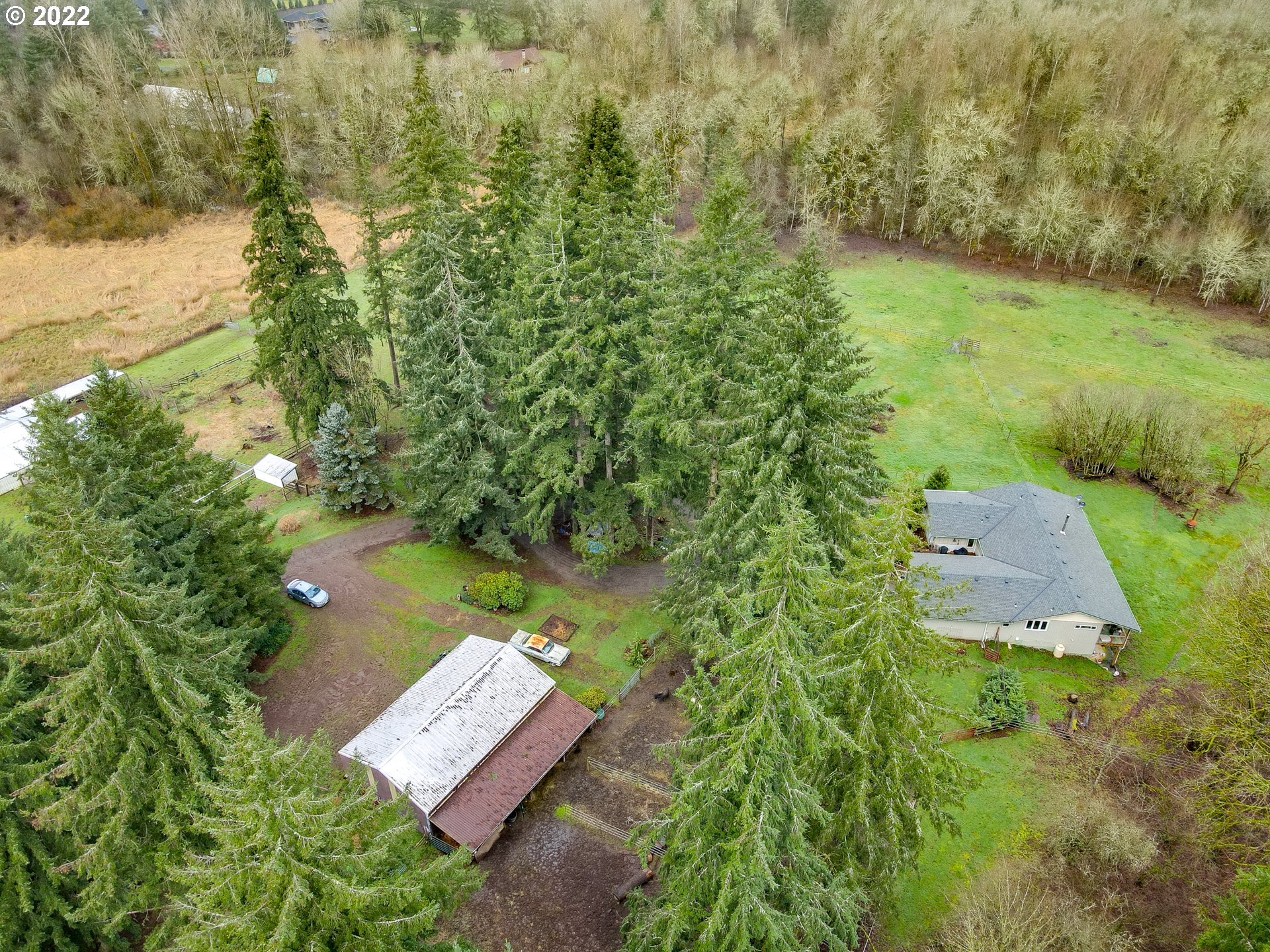 4538 Northeast 219th Street Ridgefield, WA 98642 - Photo 30 of 32