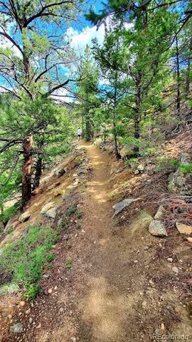 $604,000 | 1418 Rose Street, Georgetown, CO 80444