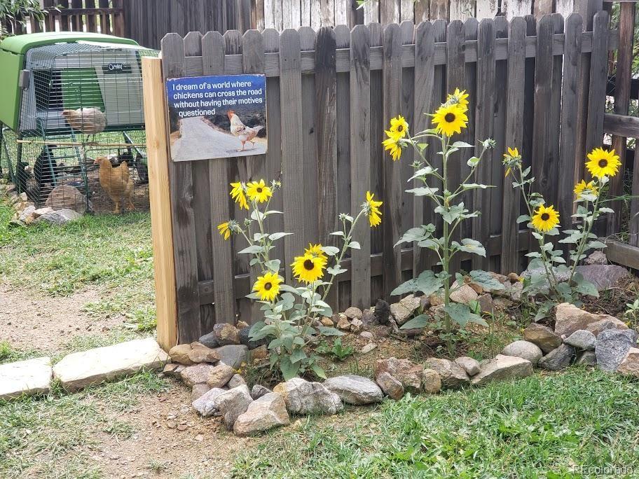 1418 Rose Street Georgetown, CO 80444 - Photo 19 of 33 a view of a bunch of flowers