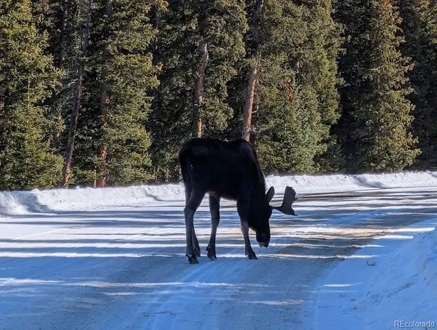 $604,000 | 1418 Rose Street, Georgetown, CO 80444