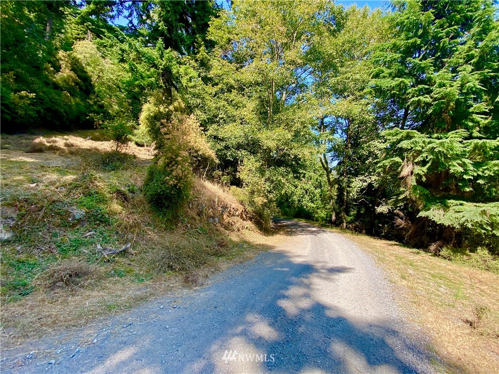 65-xxx Raccoon Point Road Orcas Island, WA 98245 - Photo 11 of 33 Gallery Image 11