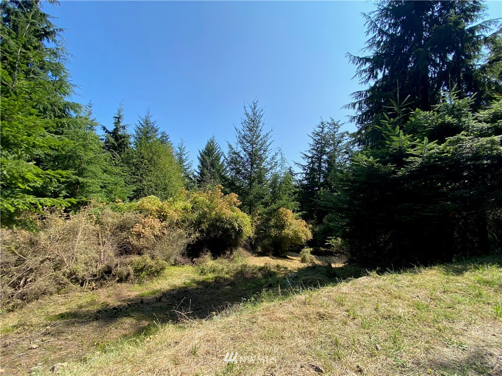 65-xxx Raccoon Point Road Orcas Island, WA 98245 - Photo 14 of 33 Gallery Image 14
