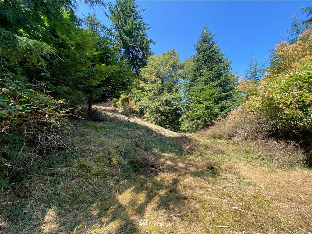 65-xxx Raccoon Point Road Orcas Island, WA 98245 - Photo 15 of 33 Gallery Image 15